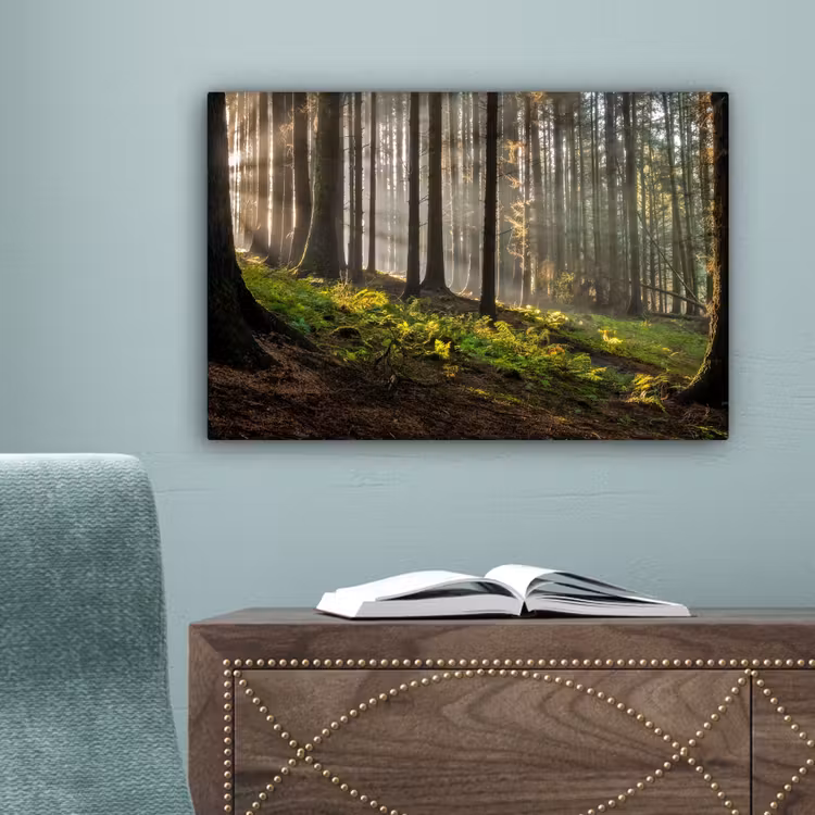 Zon - Takken - Bomen - Bos - Natuur canvas 2cm klein -sfeer4