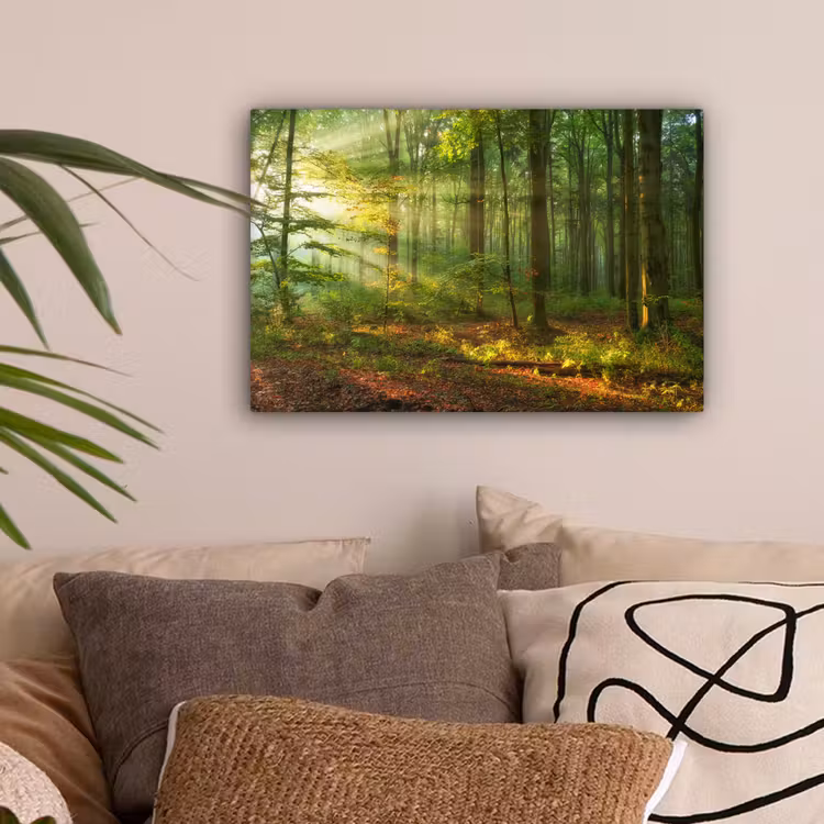 Zon - Bos - Bomen - Natuur - Herfst canvas 2cm klein -sfeer1