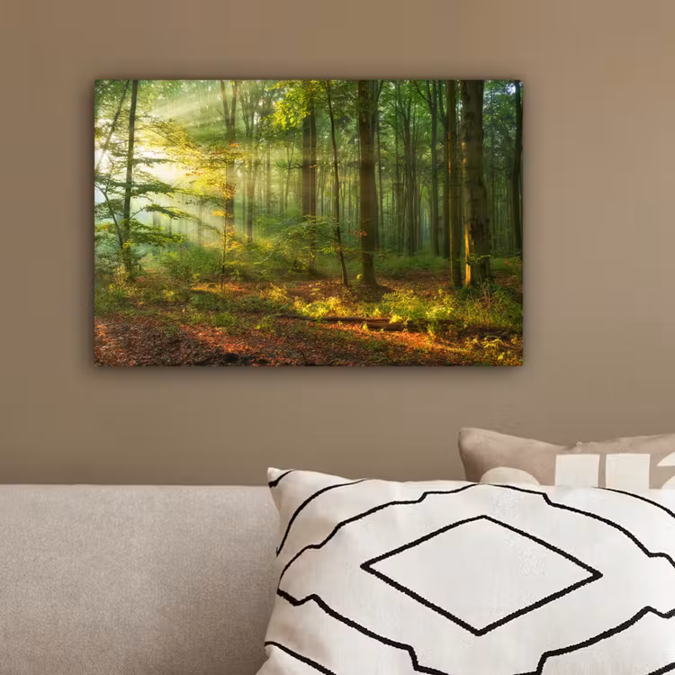Zon - Bos - Bomen - Natuur - Herfst canvas 2cm klein -sfeer3