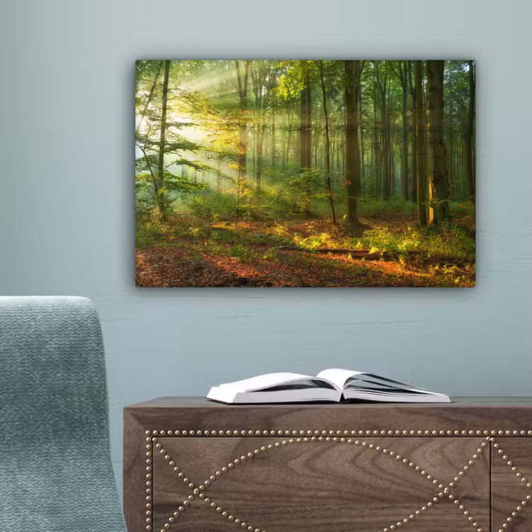 Zon - Bos - Bomen - Natuur - Herfst canvas 2cm klein -sfeer4