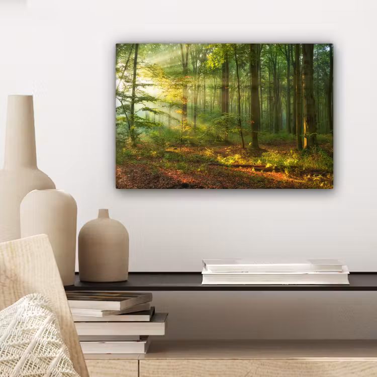 Zon - Bos - Bomen - Natuur - Herfst canvas 2cm klein -sfeer6