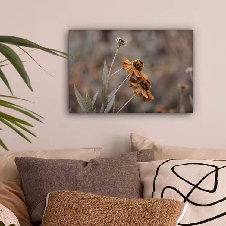 Zonnehoed - Droogbloemen - Geel - Warm canvas 2cm klein -sfeer1