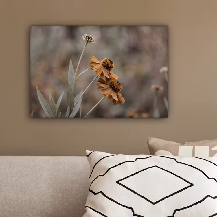 Zonnehoed - Droogbloemen - Geel - Warm canvas 2cm klein -sfeer3