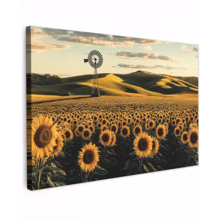 Zonnebloem - Veld - Windmolen canvas 2cm klein -z3d