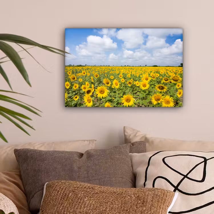 Zonnebloemen - Bloemen - Wolken - Natuur - Geel - Landschap canvas 2cm klein -sfeer1