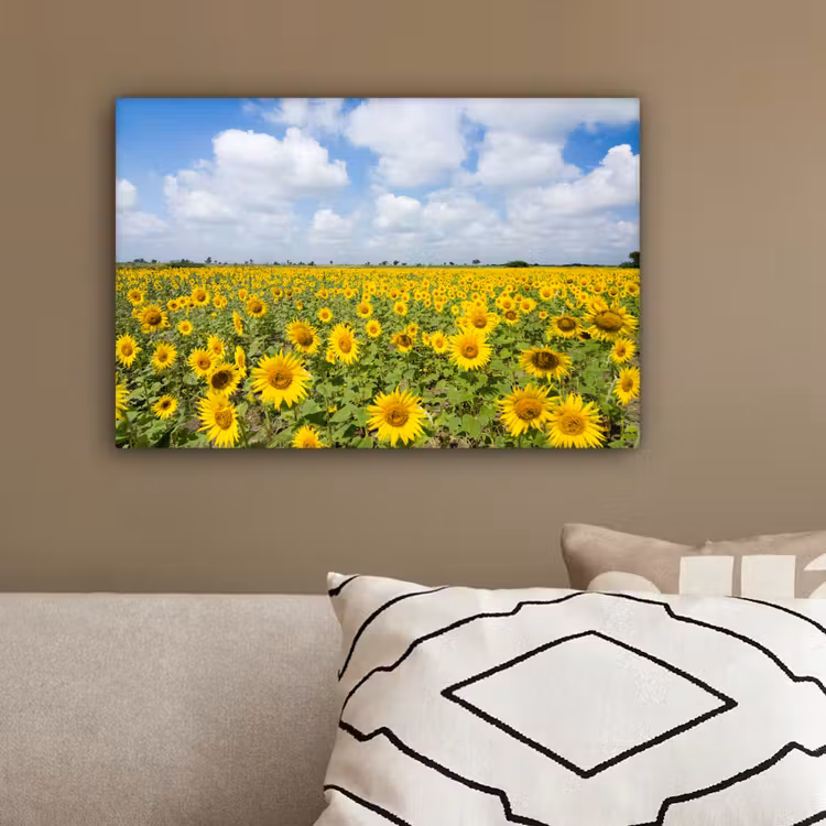 Zonnebloemen - Bloemen - Wolken - Natuur - Geel - Landschap canvas 2cm klein -sfeer3