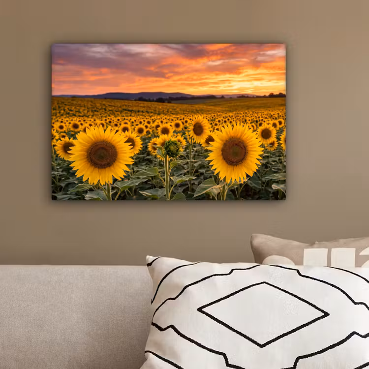Zonnebloemen - Heuvellandschap - Geel canvas 2cm klein -sfeer3