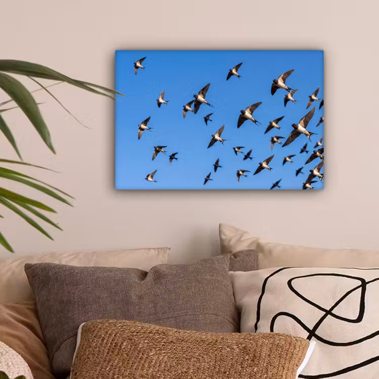 Zwaluwen - Vliegen - Blauw canvas 2cm klein -sfeer1