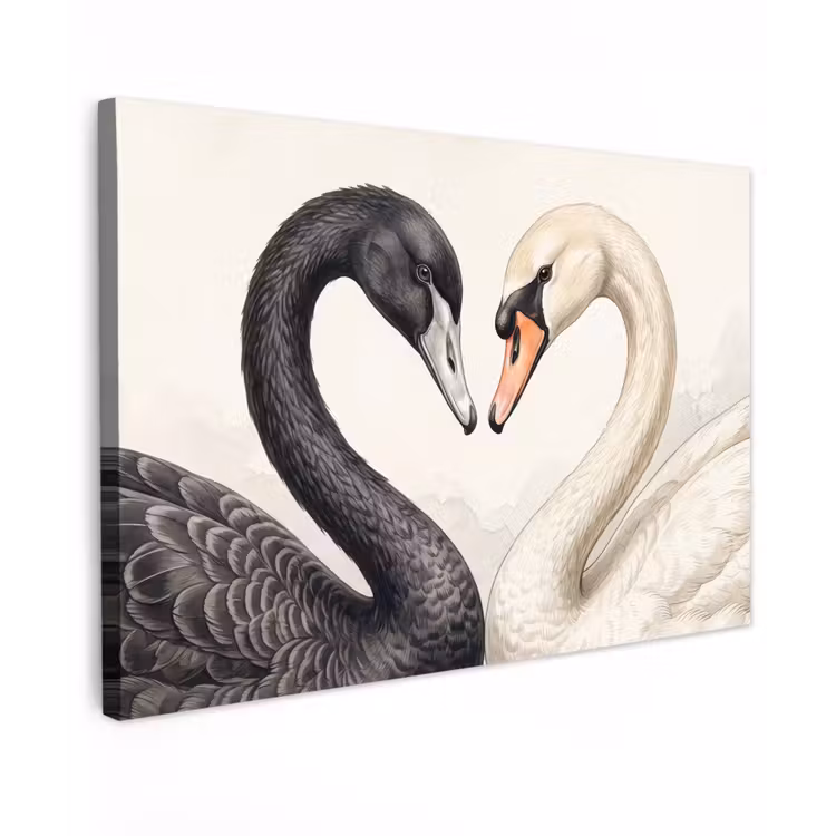 Zwanen - Hartvorm - Dieren canvas 2cm klein -z3d