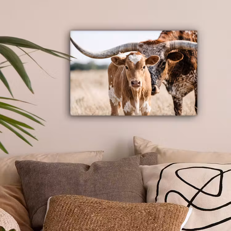 Texas Longhorn - Kalf - Weide - Dieren canvas 2cm klein -sfeer1