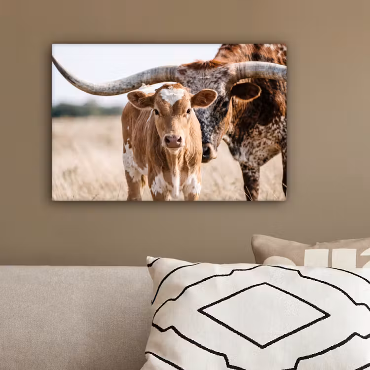 Texas Longhorn - Kalf - Weide - Dieren canvas 2cm klein -sfeer3
