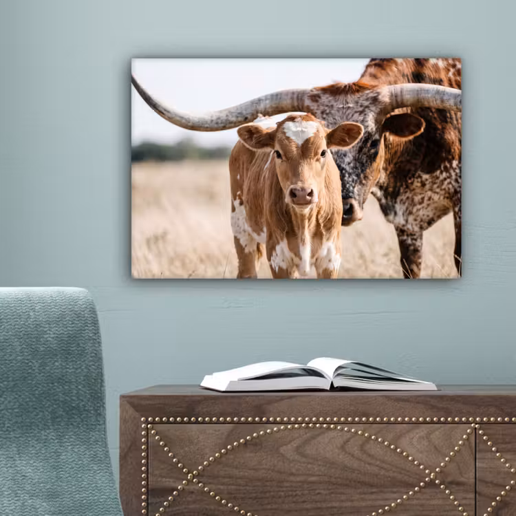 Texas Longhorn - Kalf - Weide - Dieren canvas 2cm klein -sfeer4