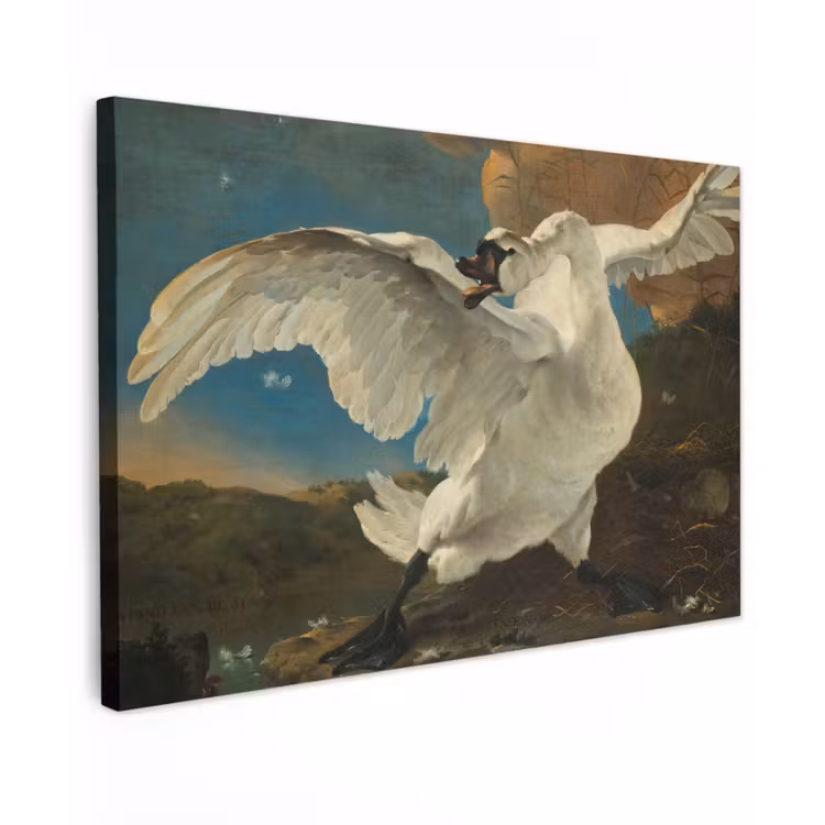 De bedreigde zwaan - Schilderij van Jan Asselijn canvas 2cm klein -z3d