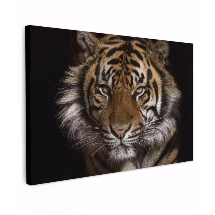 Tijger - Wilde dieren - Portret canvas 2cm klein -z3d