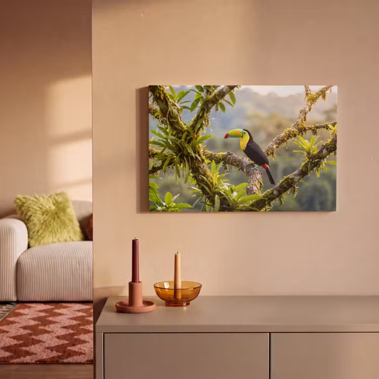 Toekan - Jungle - Natuur - Kleurrijk canvas 2cm klein -sfeer1