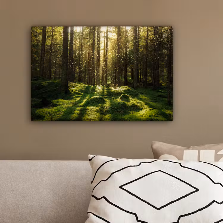 Bomen - Bos - Mos - Planten - Zon - Natuur canvas 2cm klein -sfeer3