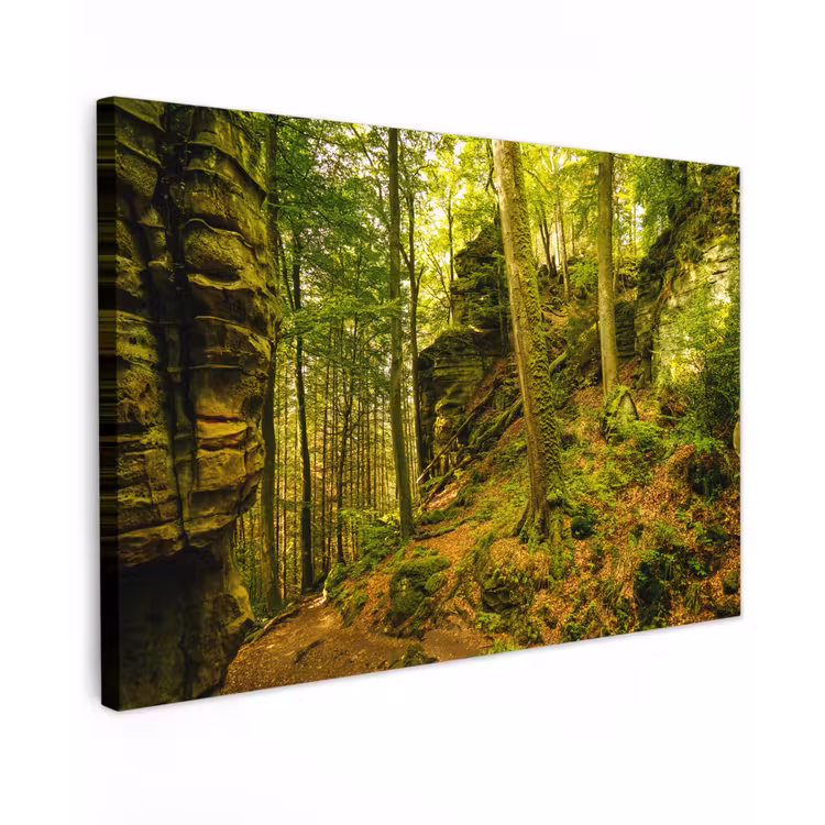 Bomen - Steen - Bos - Natuur - Planten canvas 2cm klein -z3d