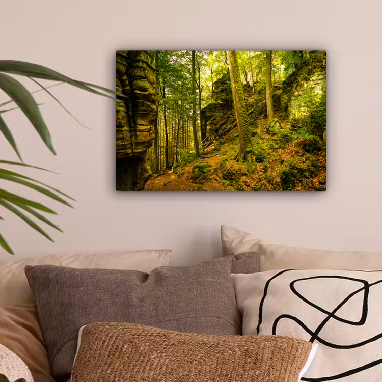 Bomen - Steen - Bos - Natuur - Planten canvas 2cm klein -sfeer1
