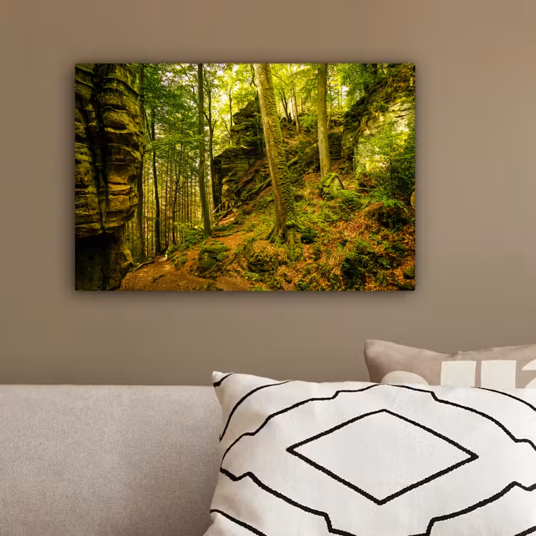 Bomen - Steen - Bos - Natuur - Planten canvas 2cm klein -sfeer3