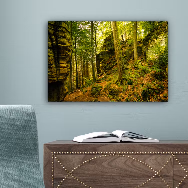 Bomen - Steen - Bos - Natuur - Planten canvas 2cm klein -sfeer4