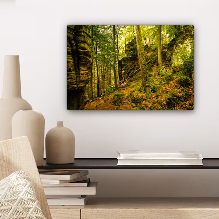Bomen - Steen - Bos - Natuur - Planten canvas 2cm klein -sfeer6