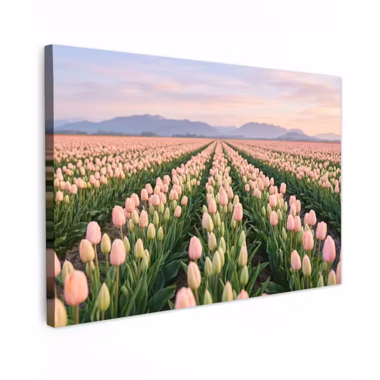 Tulpen - Landschap - Roze canvas 2cm klein -z3d
