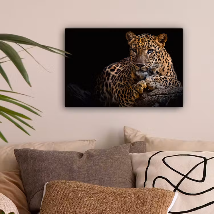 Wilde dieren - Panter - Portret - Zwart - Dieren canvas 2cm klein -sfeer1