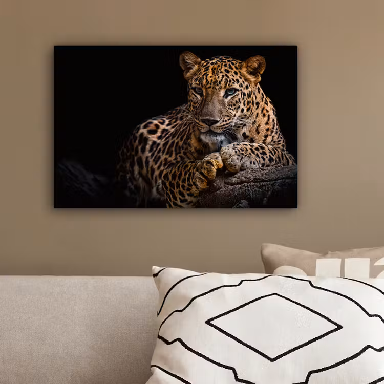 Wilde dieren - Panter - Portret - Zwart - Dieren canvas 2cm klein -sfeer3