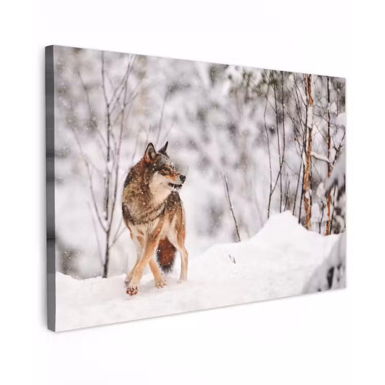 Wolf - Winter - Sneeuw - Natuur - Dieren canvas 2cm klein -z3d
