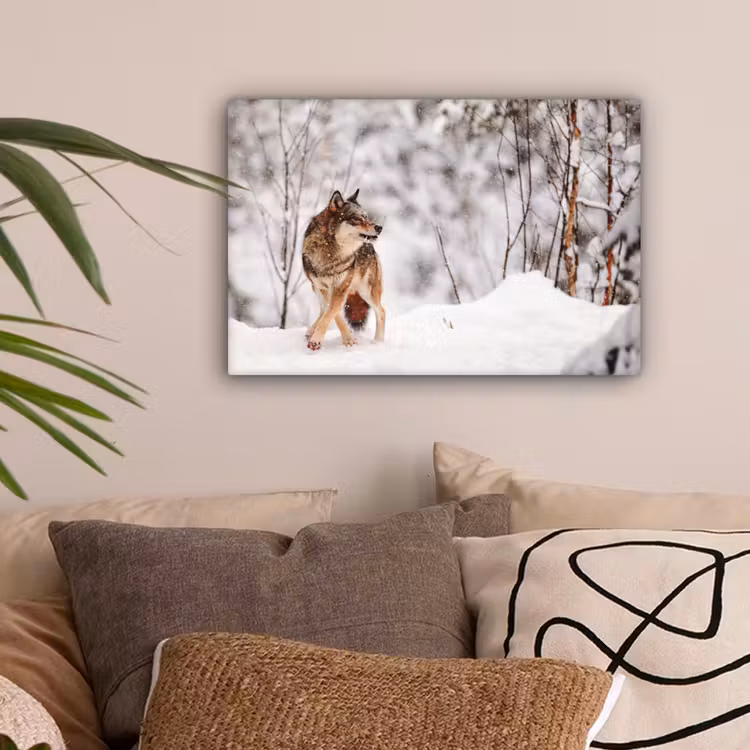 Wolf - Winter - Sneeuw - Natuur - Dieren canvas 2cm klein -sfeer1