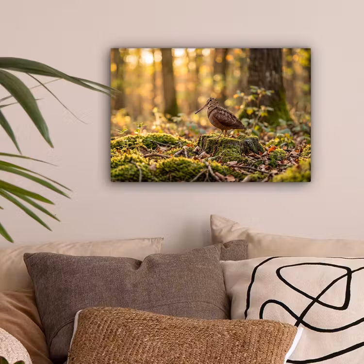Houtsnip - Bos - Bladeren - Herfst - Gecamoufleerd canvas 2cm klein -sfeer1