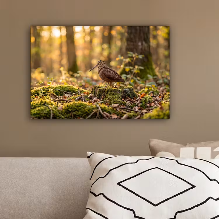Houtsnip - Bos - Bladeren - Herfst - Gecamoufleerd canvas 2cm klein -sfeer3