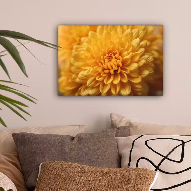 Geel - Chrysant - Zachtheid canvas 2cm klein -sfeer1