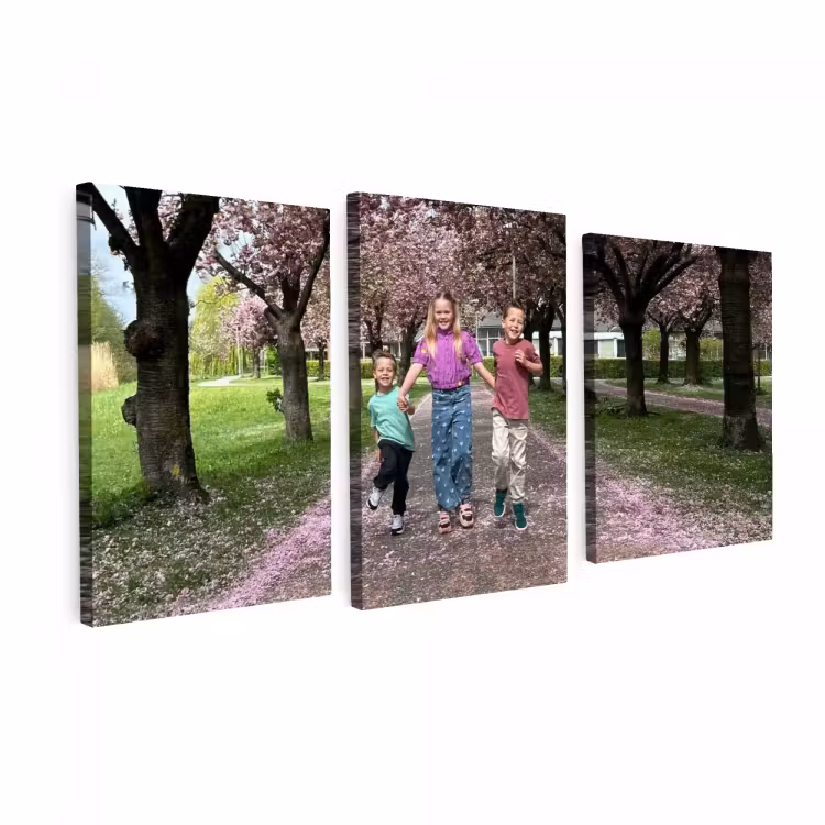 4be9312f-039f-424f-936e-8951bfbd2c09.webp