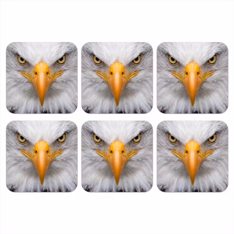 Amerikaans - Zeearend - Portret - Geel onderzetter kurk middel -3d