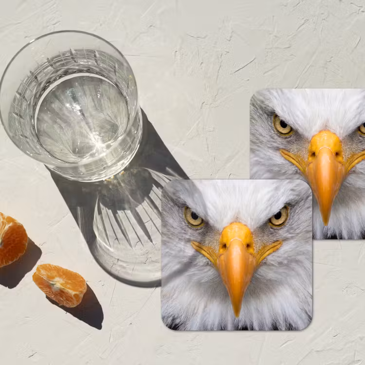 Amerikaans - Zeearend - Portret - Geel onderzetter kurk middel -sfeer4