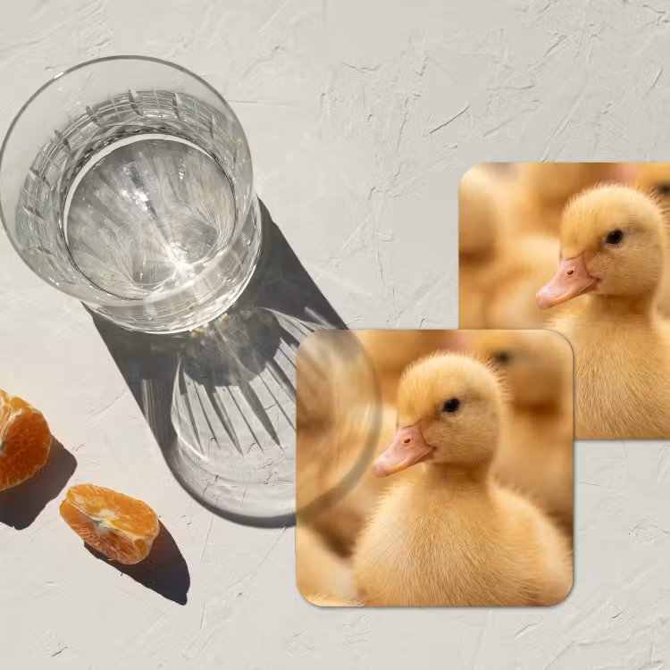 Pijltje - Eend - Natuur - Geel onderzetter kurk middel -sfeer4