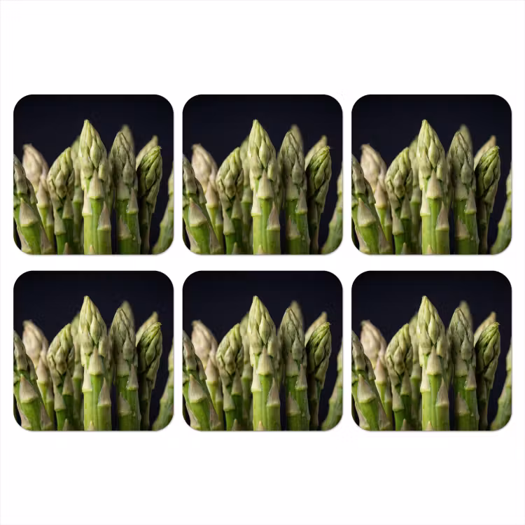 Asperges - Groen - Zwart onderzetter kurk middel -3d