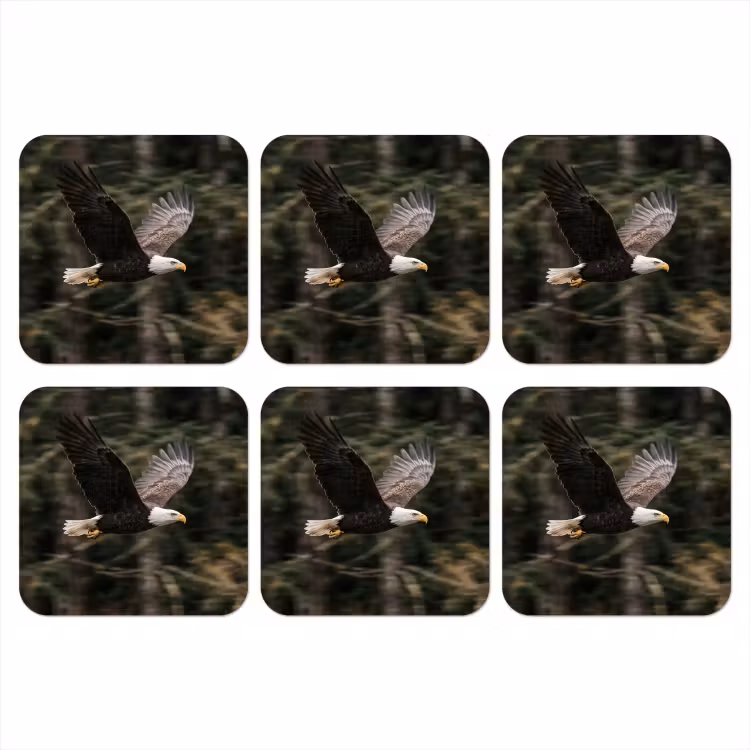 Zeearend - Vliegen - Bos - Natuur onderzetter kurk middel -3d