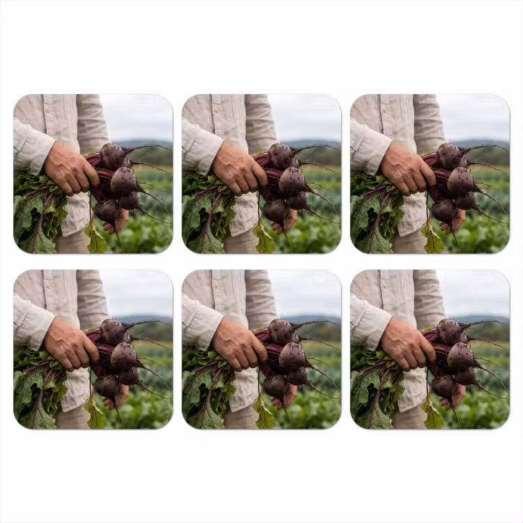Bieten - Vers - Moestuin onderzetter kurk middel -3d