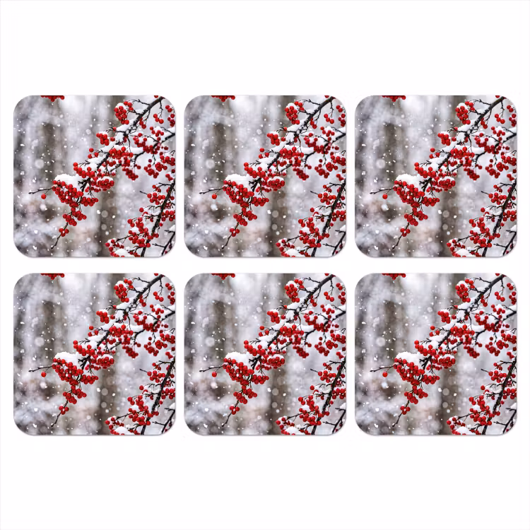 Bessen - Takken - Sneeuw - Winter - Kleurrijk onderzetter kurk middel -3d