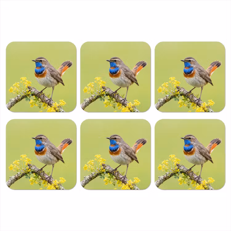 Vogel - Tak - Natuur - Kleurrijk onderzetter kurk middel -3d