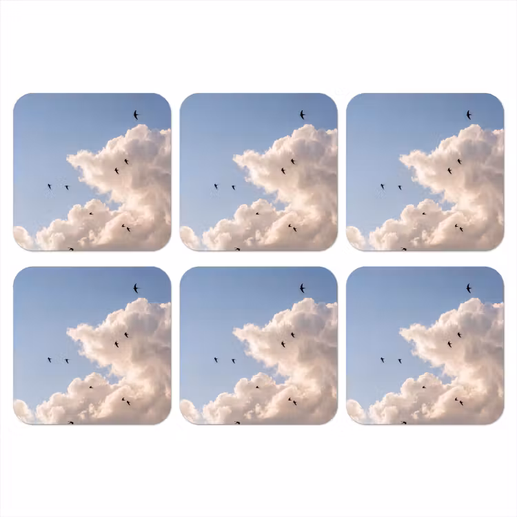 Vogel - Vlucht - Wolken - Natuur - Blauw onderzetter kurk middel -3d