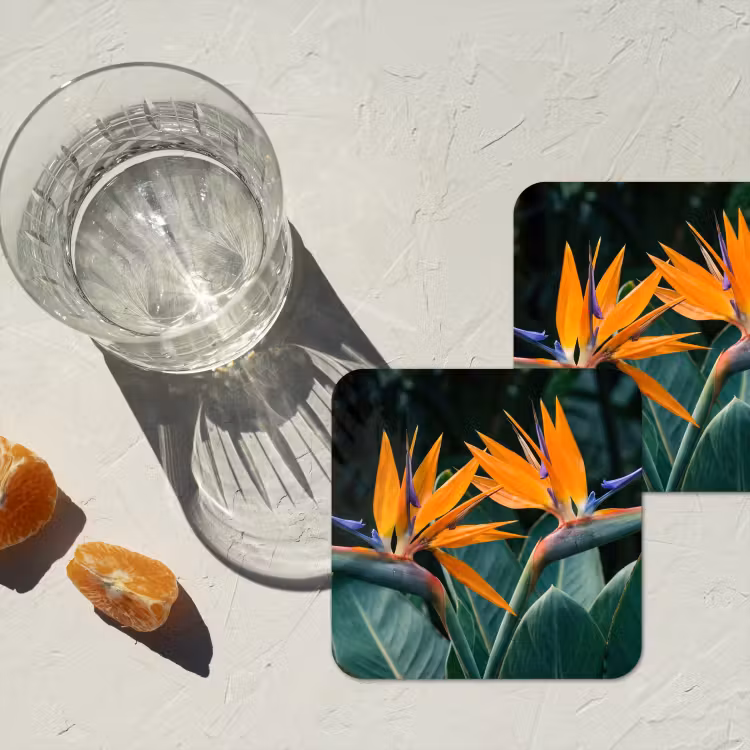 Paradijsvogel - Bloem - Exotisch onderzetter kurk middel -sfeer4