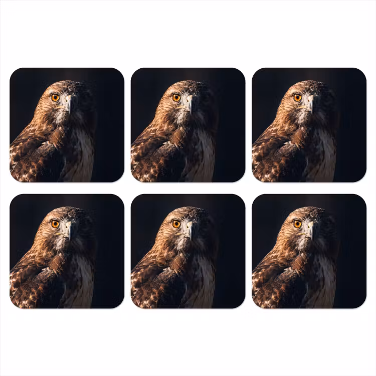 Roofvogel - Buizerd - Bruin onderzetter kurk middel -3d