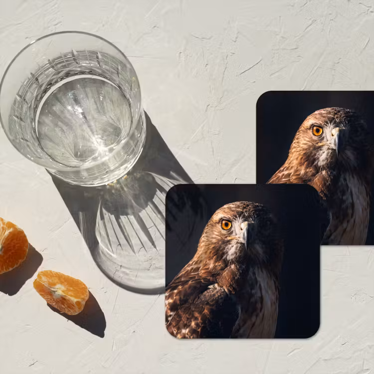 Roofvogel - Buizerd - Bruin onderzetter kurk middel -sfeer4