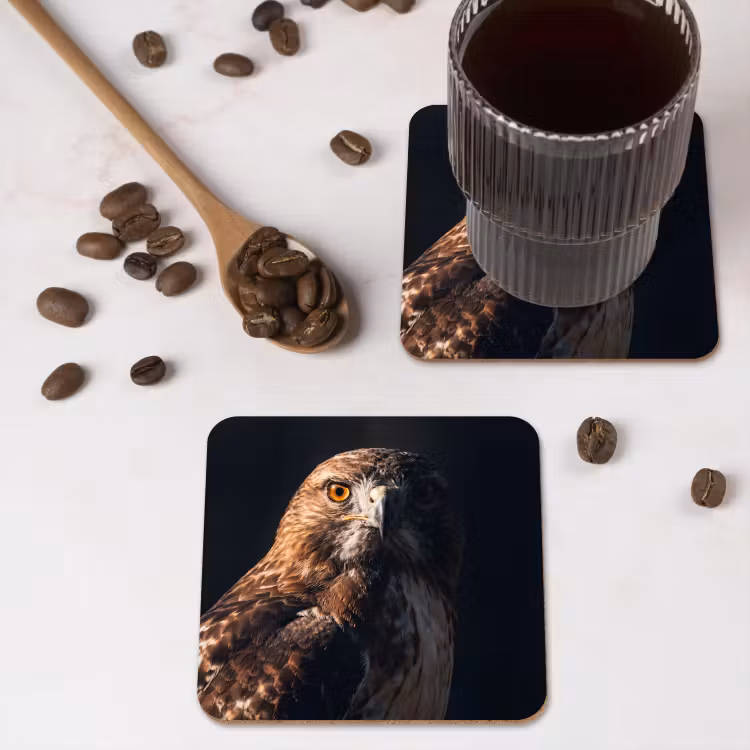 Roofvogel - Buizerd - Bruin onderzetter kurk middel -sfeer2