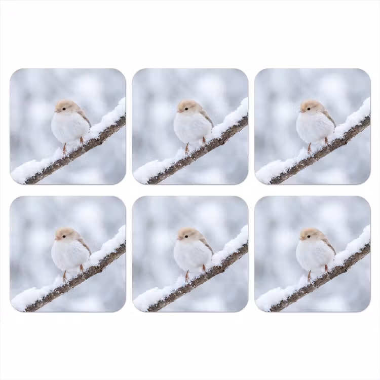 Vogeltje - Sneeuw - Tak - Winter - Zacht onderzetter kurk middel -3d
