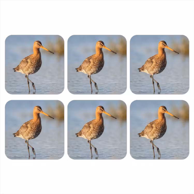 Vogel - Steltloper - Water - Natuur onderzetter kurk middel -3d