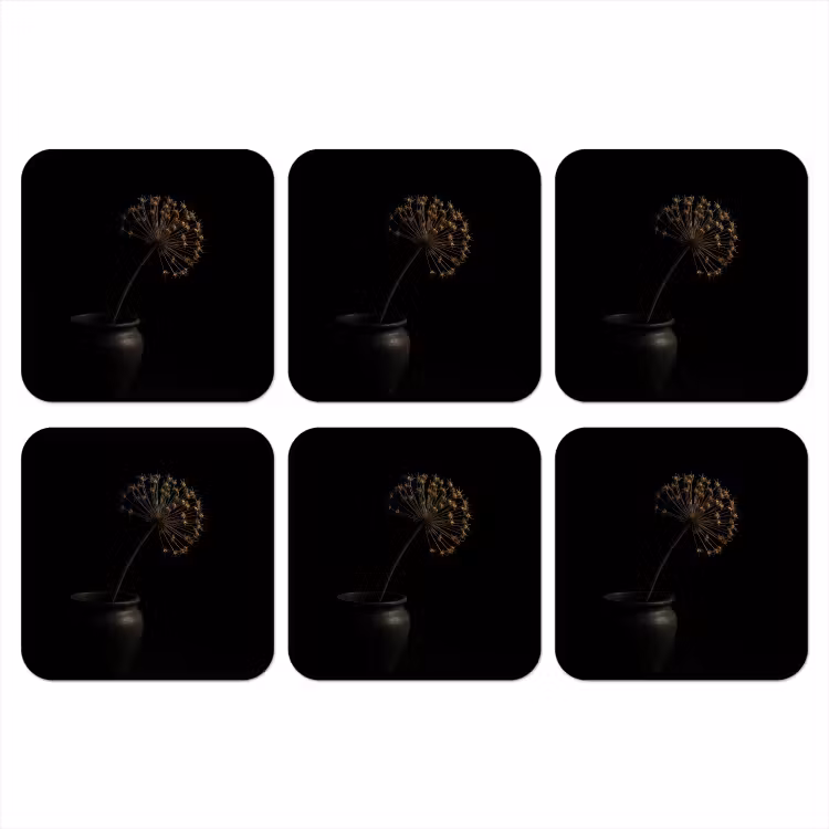 Bol - Gedroogd - Vaas - Zwart onderzetter kurk middel -3d